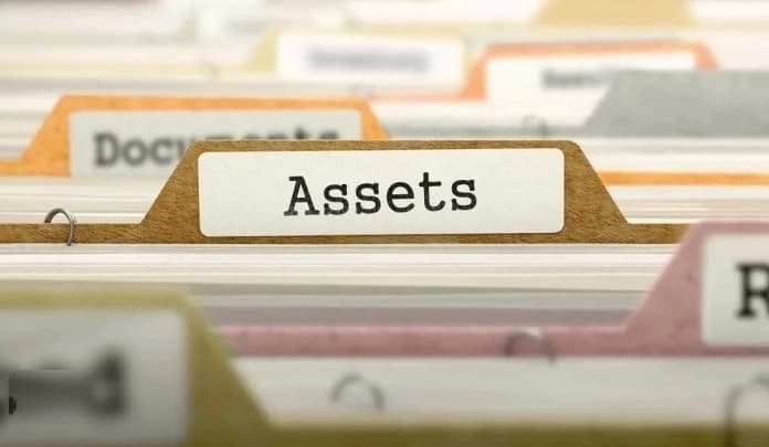 What-are-Assets-1 What are assets in a will depicted by a file folder named "Assests"