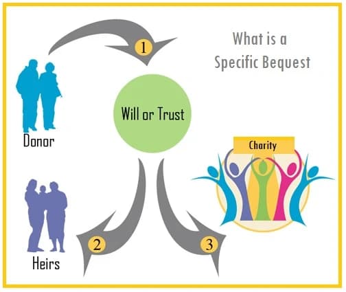 What-is-a-specific-bequest What is a Specific Bequest